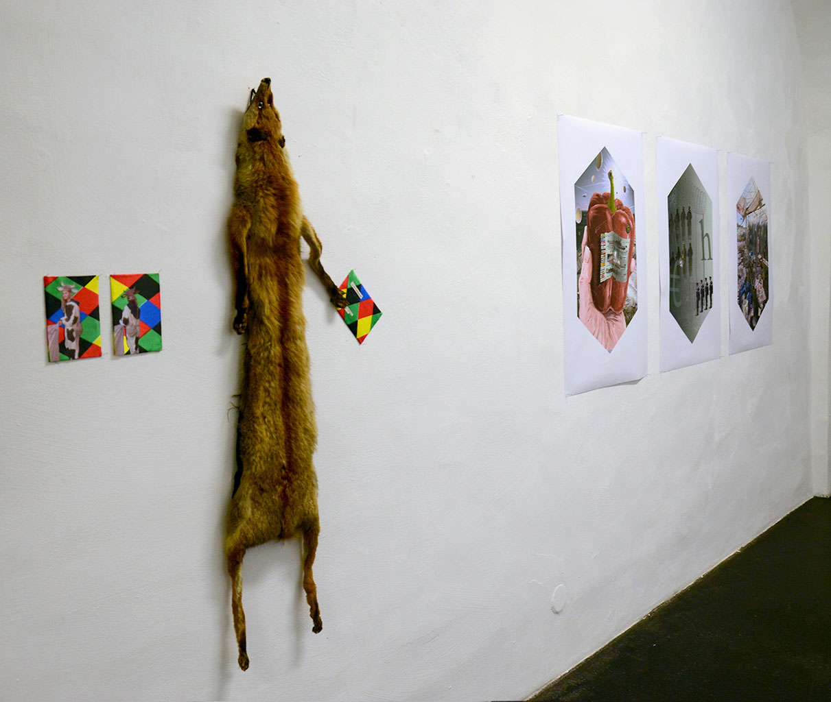 AUSSTELLUNGSPROJEKTE IN WIEN